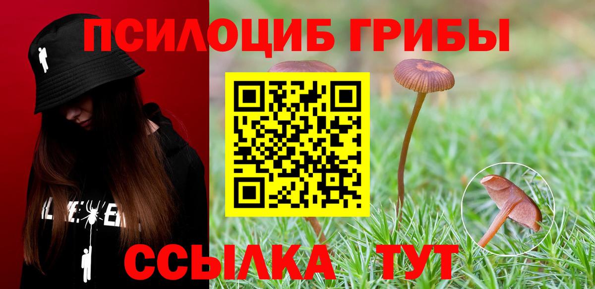 Галлюциногенные грибы Cubensis  наркота  Канаш  Вход с VPN 