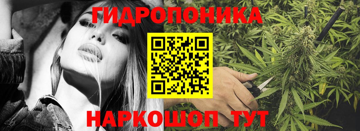 Канаш  МАРИХУАНА Amnesia  МАРИХУАНА Amnesia  Вход с VPN  Каннабис Bruce Banner 